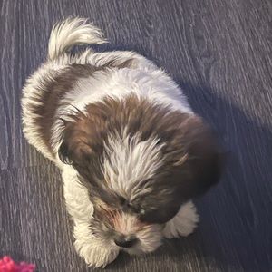 Meet your Posher, Andrew